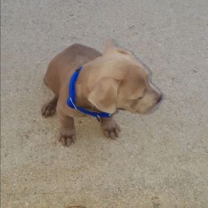 Meet your Posher, Andres